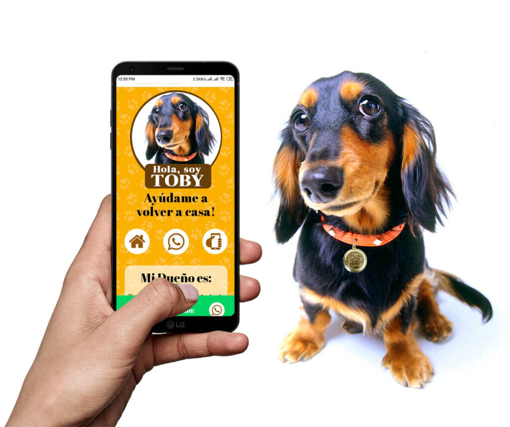 ubicapet